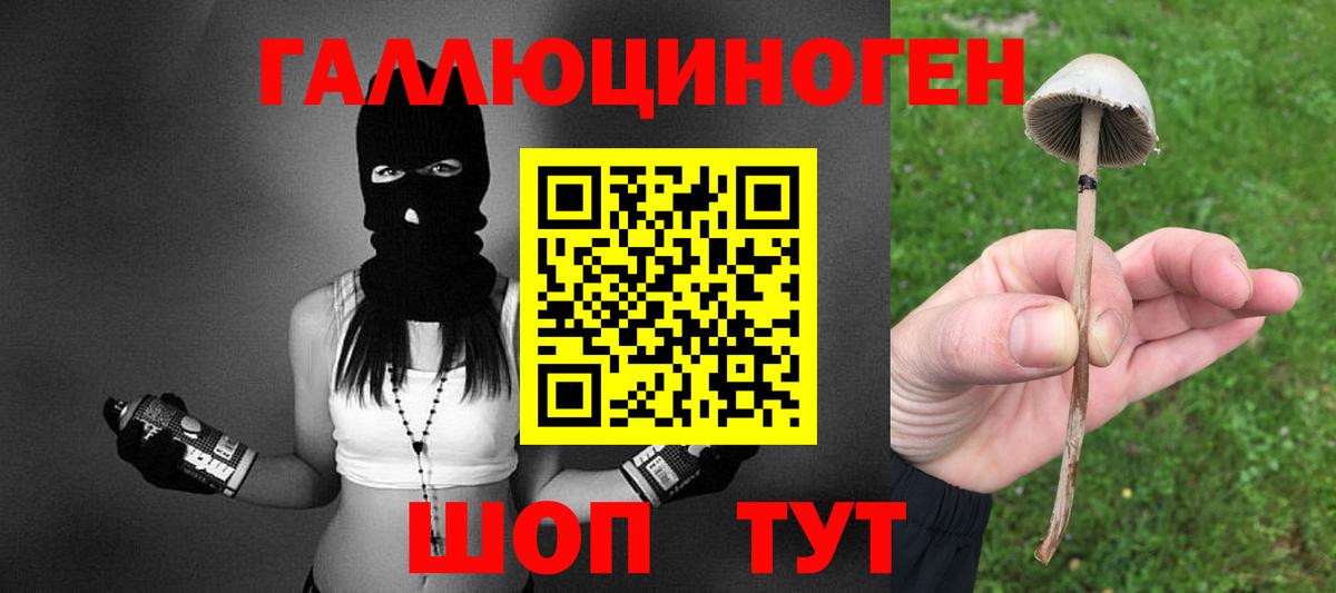 Псилоцибиновые грибы GOLDEN TEACHER Курган