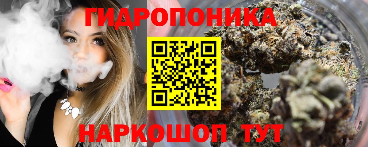 Конопля индика Курган